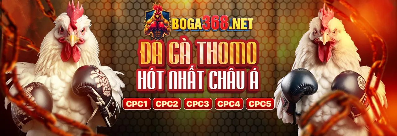 Đá gà trực tuyến kịch tính tại bet365vnd link mới